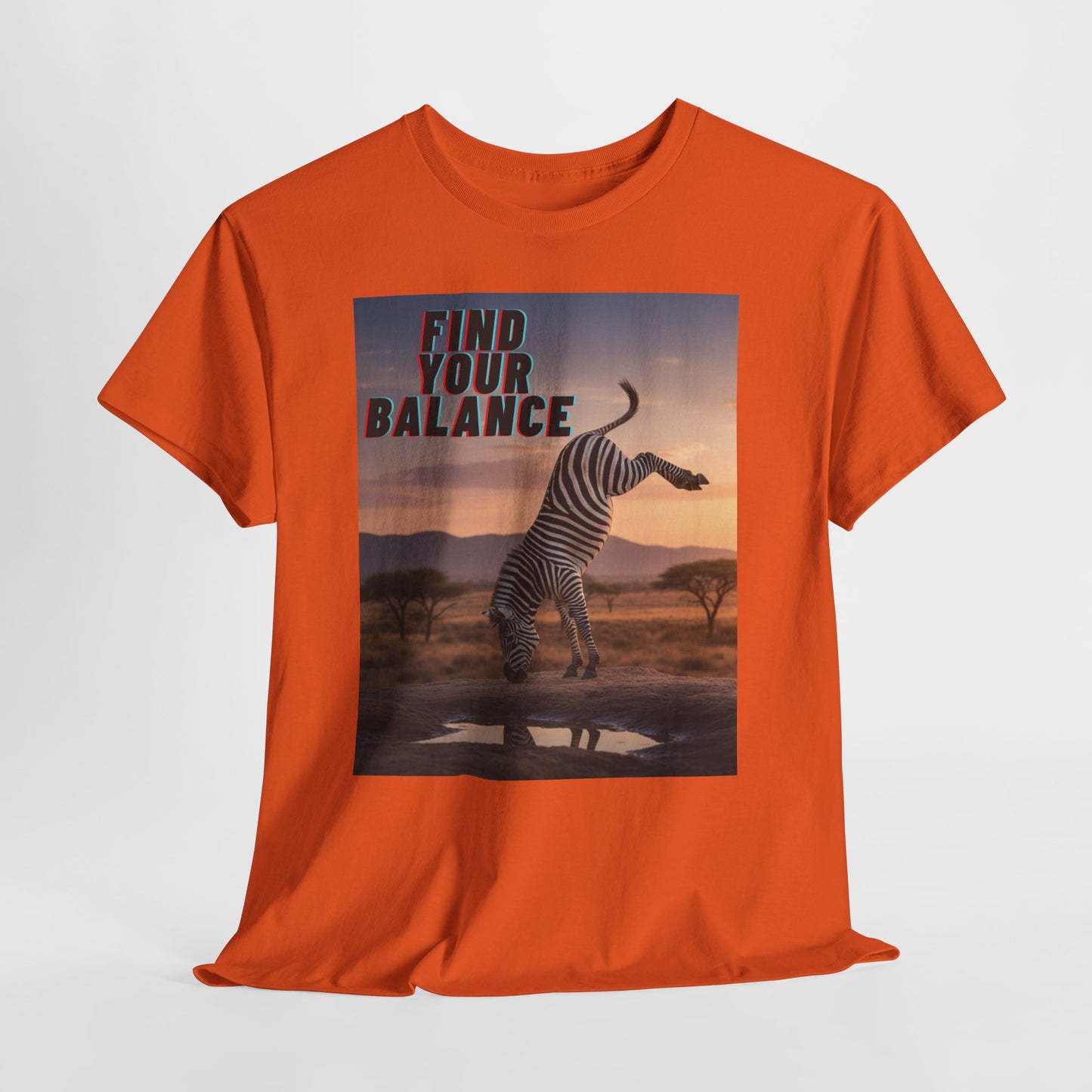 Unisex T-shirt - Zebra 'Find Your Balance' Graphic Tee