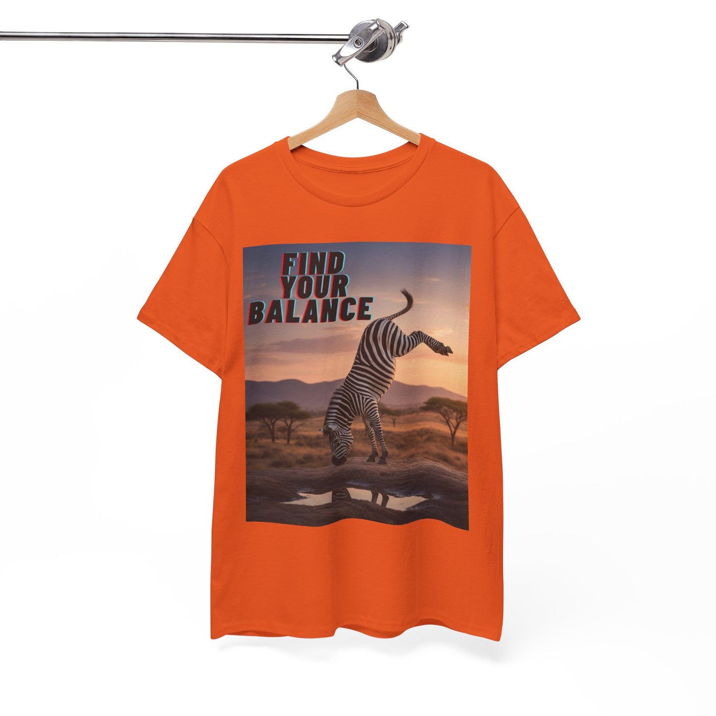 Unisex T-shirt - Zebra 'Find Your Balance' Graphic Tee